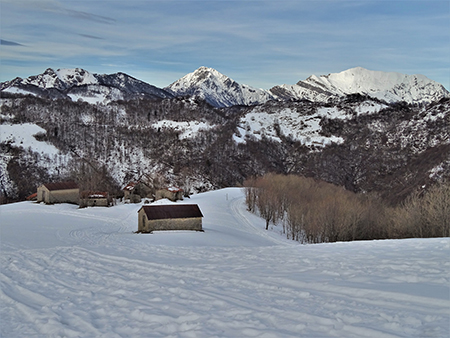 Sulle nevi dei Piani d’Artavaggio (1650 m) da Avolasio (1050 m) il 22 dicembre 2020  - FOTOGALLERY